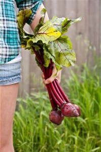 What To Do With Beets