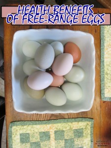 Health Benefits of Free-Range Eggs