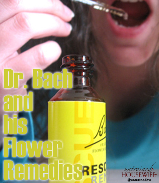 An Introduction to the Bach Flower Remedies
