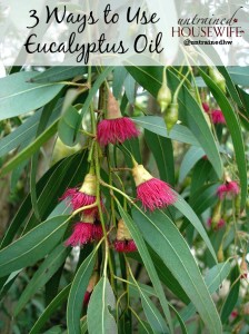 Three Ways to Use Eucalyptus Oil at Home