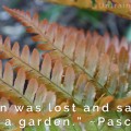 Lost and Saved in a Garden Quote