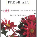 "How To Grow Fresh Air" book cover