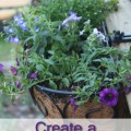 How to Create a Rainbow Garden Planter