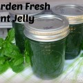Garden Fresh Mint Jelly Canning Recipe