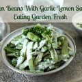 Green Beans Tarator Garlic Lemon Eating Fresh