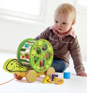 Awesome shape sorter pull along toy, two in one!