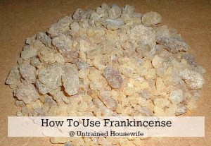 Frankincense (Boswellia carteri)