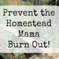 Prevent homestead mama burn-out