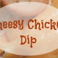Crockpot chicken dip