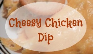 Crockpot chicken dip