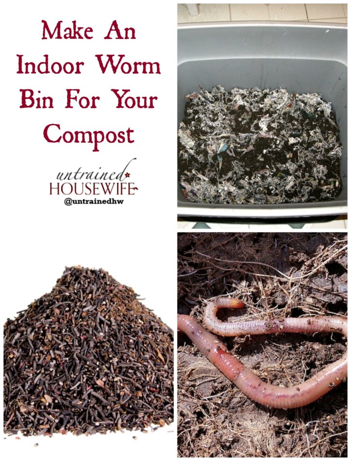Make An Indoor Worm Bin For Your Compost