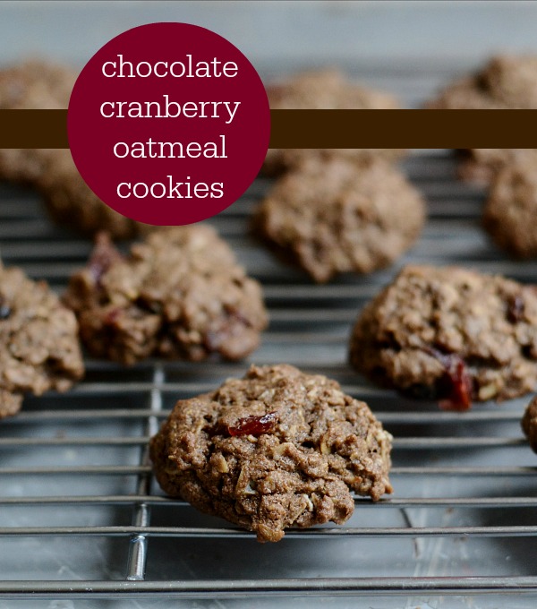chocolate cranberry oatmeal cookies