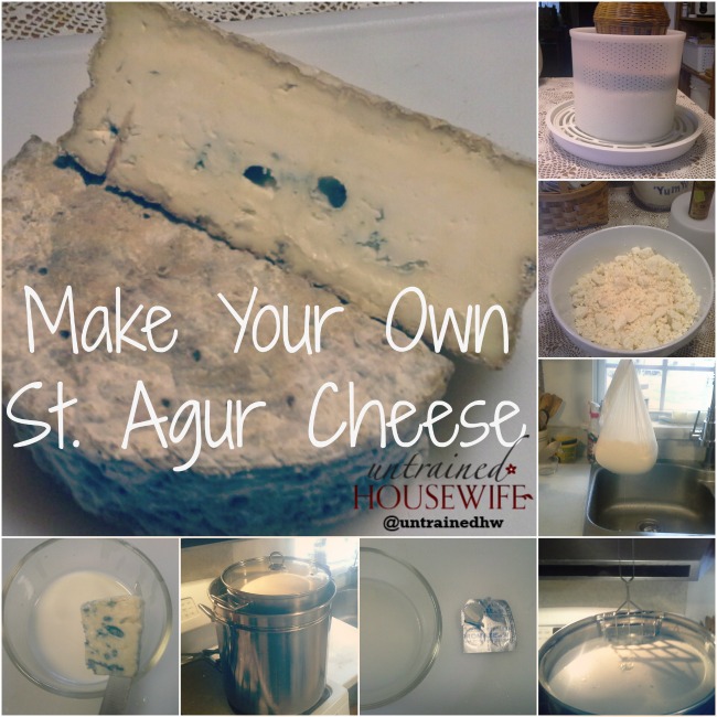How to make your own St. Agur Blue Cheese - via @UntrainedHW