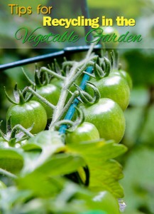Tips for Recycling in the Vegetable Garden