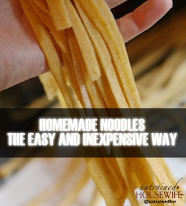 Homemade Noodles the Easy and Inexpensive Way