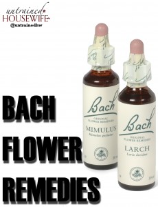 How to Use Bach Flower Remedies at Home