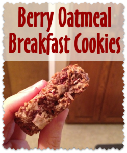 Healthy Berry Oatmeal Breakfast Cookies