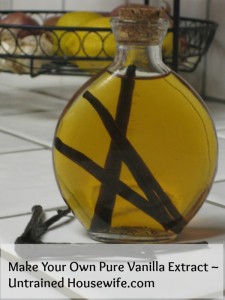vanilla extract at the untrained housewife.com
