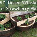 Tiered Whiskey Barrel Strawberry Planter