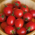 Sweet Baby Tomatoes for Containers