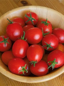 Sweet Baby Tomatoes for Containers