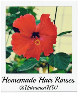 Hibiscus Flowers for Herbal Hair Rinses
