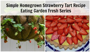Simple Strawberry Tart Recipe
