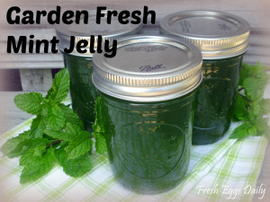 Garden Fresh Mint Jelly Canning Recipe