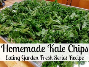 Kale Chips Eating Garden Fresh
