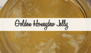 Golden Honeydew Jelly