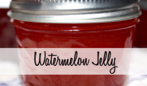 Watermelon Jelly