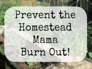 Prevent homestead mama burn-out