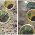 Repurposed Canning Lid Seed Label Markers