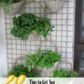 20 Tips to Get You Started on Herbal Home Remedies