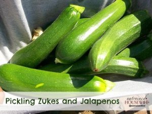 Pickling Zukes and Jalapenos