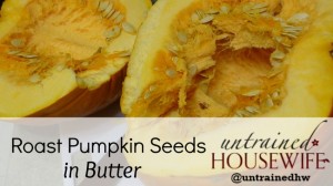 Youtube tutorial and recipe for roasted pumpkin seeds