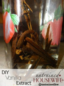 Make your own vanilla extract - 3 simple steps!
