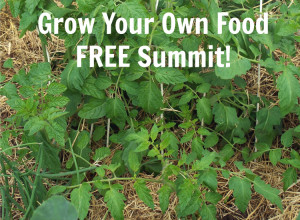 Grow Your Own Food Free Summit