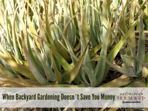 When Backyard Gardening Doesn’t Save You Money